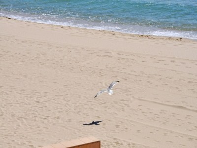 Apartment Studio in Roses nahe Santa Margarita Strand - Environment photo 17