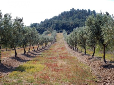 Holiday house Ferienhaus in Empuriabrava mit Privatpool - Environment photo 33