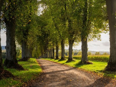 Villa Ferienhaus neben einem Schloss. - Environment photo 38