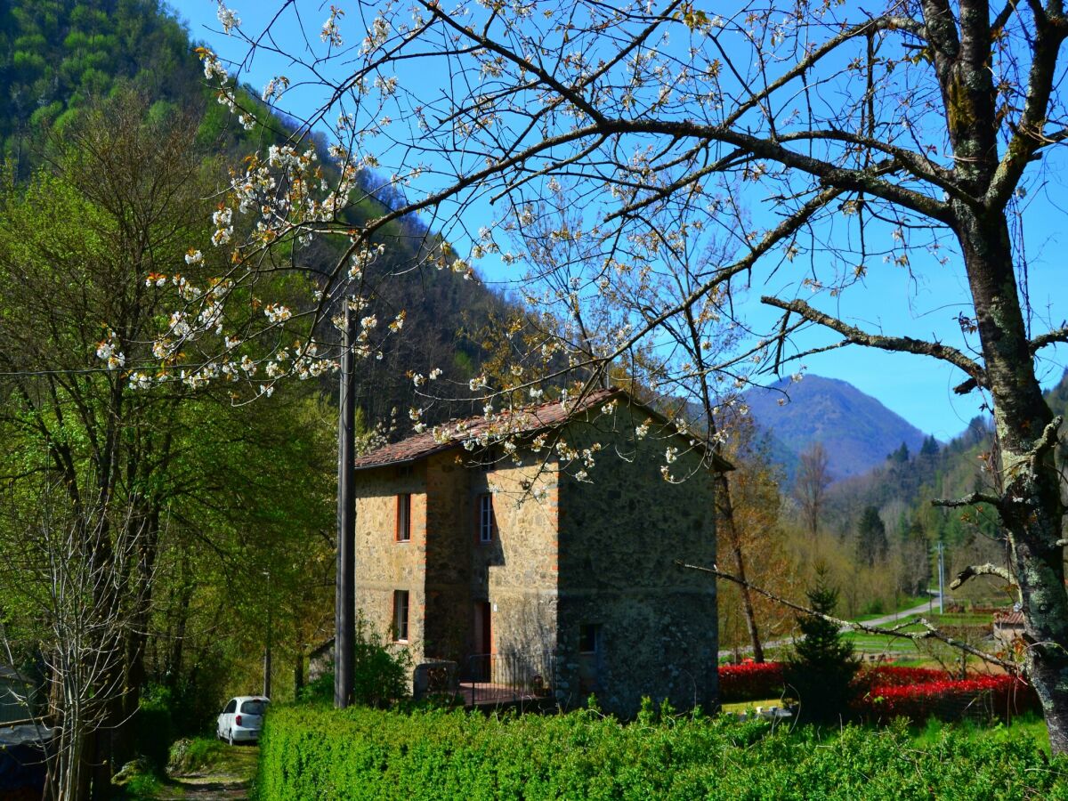 Holiday house Traumhaftes Ferienhaus in Trebbio mit Pool - Outdoor photo 5