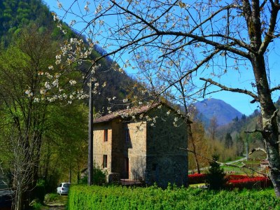 Holiday house Traumhaftes Ferienhaus in Trebbio mit Pool - Outdoor photo 5