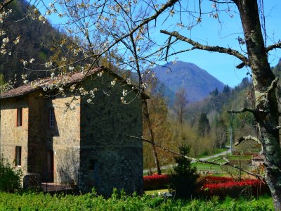 Holiday house Traumhaftes Ferienhaus in Trebbio mit Pool - Outdoor photo 10