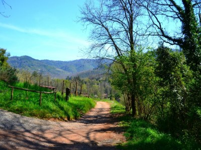 Holiday house Traumhaftes Ferienhaus in Trebbio mit Pool - Environment photo 27