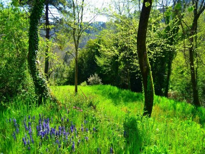 Holiday house Traumhaftes Ferienhaus in Trebbio mit Pool - Environment photo 28