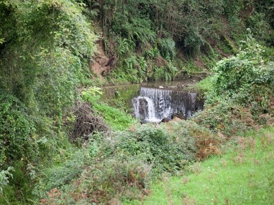 Holiday house Traumhaftes Ferienhaus in Trebbio mit Pool - Environment photo 30