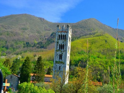 Holiday house Traumhaftes Ferienhaus in Trebbio mit Pool - Environment photo 33