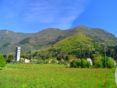 Holiday house Traumhaftes Ferienhaus in Trebbio mit Pool - Outdoor photo 35