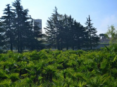Holiday house Traumhaftes Ferienhaus in Trebbio mit Pool - Outdoor photo 36