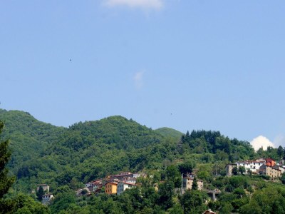 Holiday house Traumhaftes Ferienhaus in Trebbio mit Pool - Outdoor photo 37