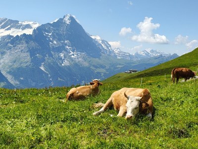 Holiday apartment No title - Environment photo 13