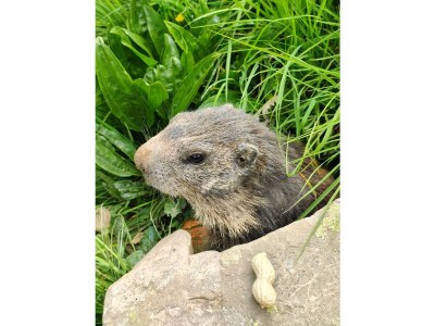 Holiday apartment No title - Environment photo 15