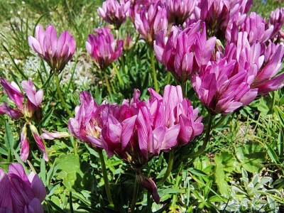 Holiday apartment No title - Environment photo 19