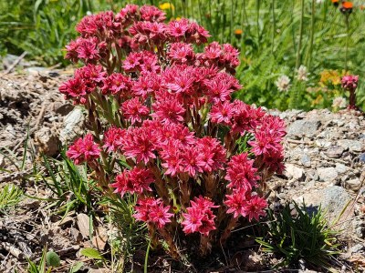 Holiday apartment No title - Environment photo 20