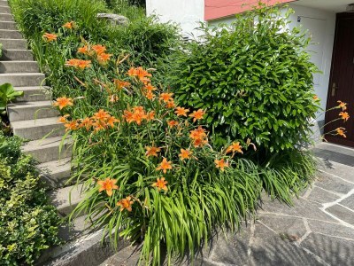 Holiday apartment Casa Colombina Duplex - Outdoor photo 7