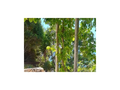 Holiday house Two bedroom house near beach Cove Skozanje, Hvar K-4039 - Outdoor photo 24