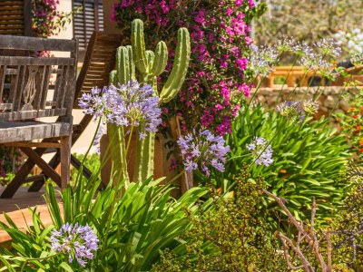 Finca Finca Descanso - Eine Oase der Ruhe. Charmante und gemütliche Finca mit großem privatem Pool in der Nähe der Cala Murada 1 - Outdoor photo 9