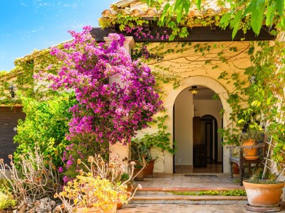 Finca Finca Descanso - Eine Oase der Ruhe. Charmante und gemütliche Finca mit großem privatem Pool in der Nähe der Cala Murada 1 - Outdoor photo 17