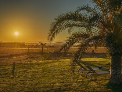 Finca Finca Cuatro Vientos - Exklusive Finca in ruhiger Lage mit hochwertiger und geschmackvoller Ausstattung in der Nähe von Manacor 1 - Outdoor photo 16