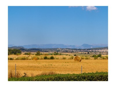 Finca Finca Cuatro Vientos - Exklusive Finca in ruhiger Lage mit hochwertiger und geschmackvoller Ausstattung in der Nähe von Manacor 1 - Environment photo 39