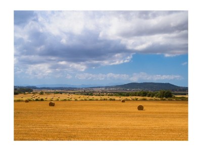 Finca Finca Cuatro Vientos - Exklusive Finca in ruhiger Lage mit hochwertiger und geschmackvoller Ausstattung in der Nähe von Manacor 1 - Environment photo 41