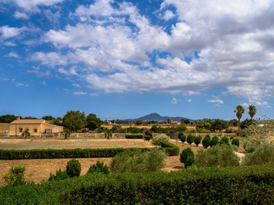 Finca Finca Cuatro Vientos - Exklusive Finca in ruhiger Lage mit hochwertiger und geschmackvoller Ausstattung in der Nähe von Manacor 1 - Environment photo 42