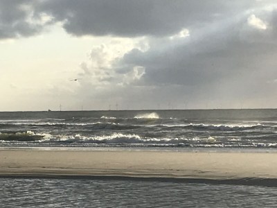 Holiday house Almroosje - Environment photo 32