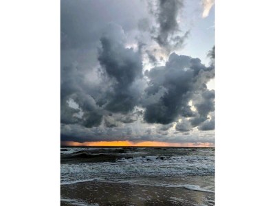 Holiday house Almroosje - Environment photo 33