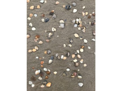 Holiday house Almroosje - Document photo 43