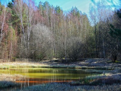 Apartment BernsteinseeHotel und Ferien Superior Doppelzimmer - Environment photo 22