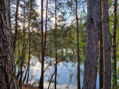 Apartment BernsteinseeHotel und Ferien Superior Doppelzimmer - Environment photo 27