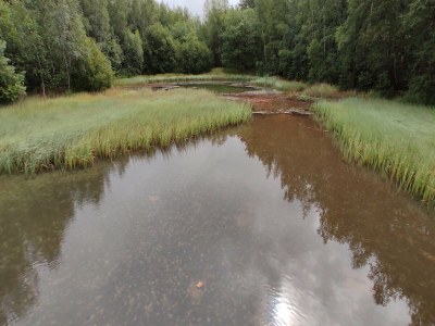 Apartment BernsteinseeHotel und Ferien Superior Doppelzimmer - Environment photo 28