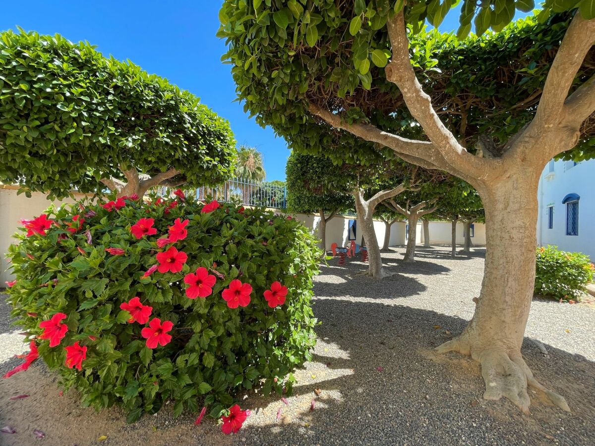 Apartment Elegant Apartment Stay Near Sea - Outdoor photo 4