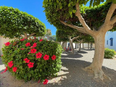 Apartment Elegant Apartment Stay Near Sea - Outdoor photo 4