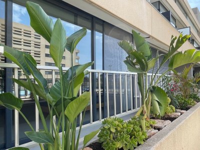 Apartment Seaside Family Apartment in Almeria - Features photo 22