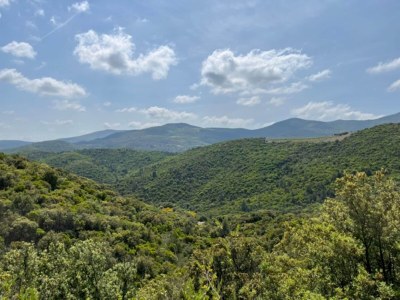 Holiday house La Rocaille, house for 6 with swimming pool - Environment photo 34