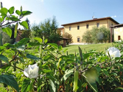 Holiday park Agriturismo Poggio al Sole, Vinci - Outdoor photo 4