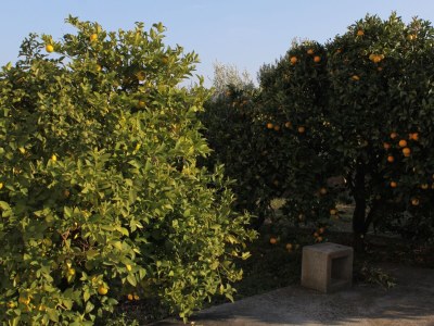 Apartment Three bedroom apartment near beach Rogoznica A-7499-a - Outdoor photo 10