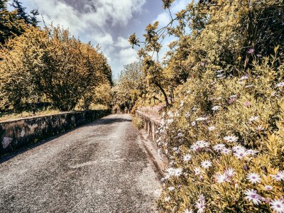 Holiday house Tranquil holiday home with pool in Sintra - Outdoor photo 6
