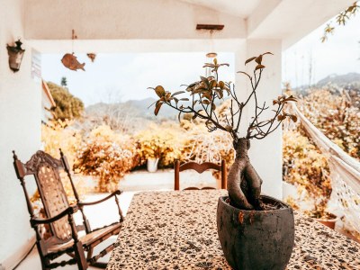 Holiday house Tranquil holiday home with pool in Sintra - Outdoor photo 39
