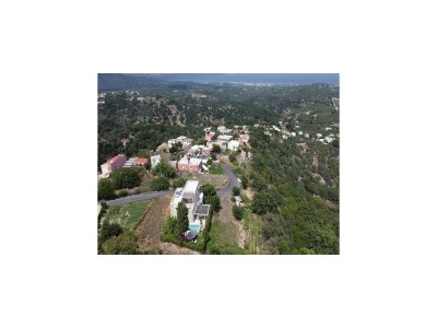 Holiday park Gemütliches Ferienhaus im kretischen Landhausstil - Environment photo 18