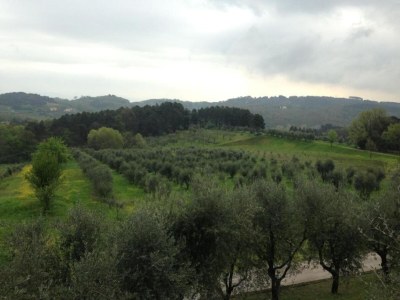 Apartment Apartment in Lucca near Historic City Walls - Environment photo 28