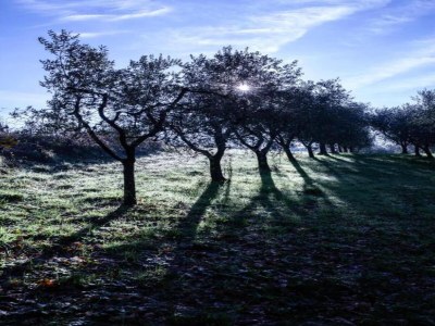 Apartment Apartment in Lucca near Historic City Walls - Environment photo 31