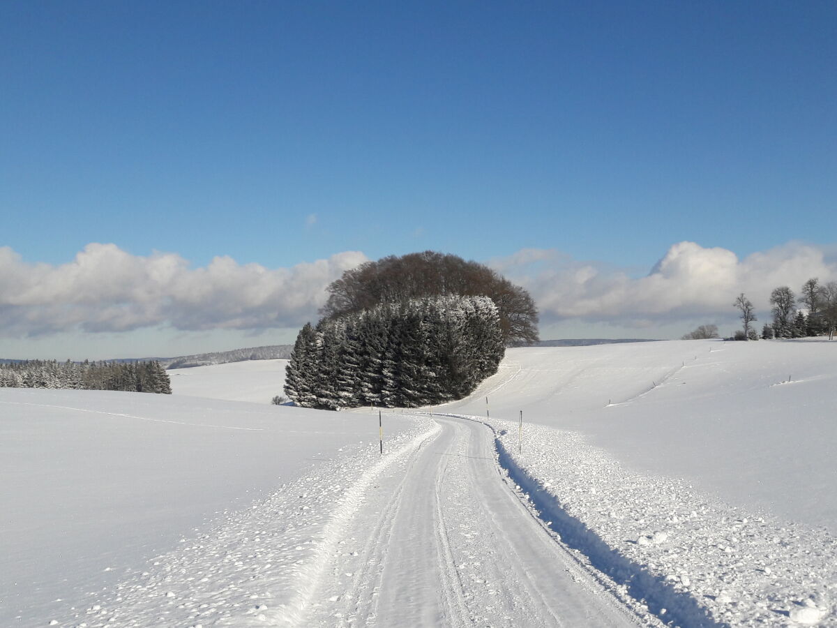 Holiday apartment Wirglauer - Outdoor photo 5