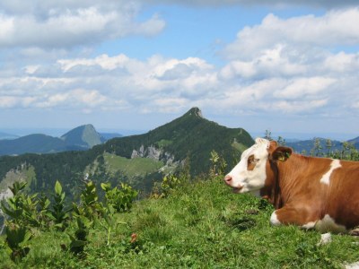 Holiday apartment Wirglauer - Environment photo 21