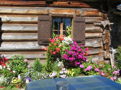 Holiday apartment Wirglauer - Environment photo 23