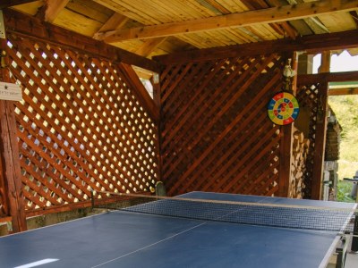 Holiday house Two bedroom house with terrace Hreljin Ogulinski, Gorski kotar K-23162 - Outdoor photo 14