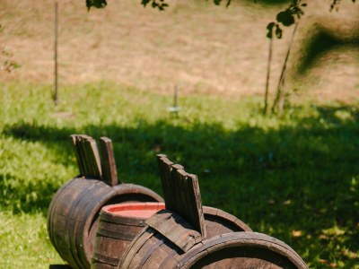 Holiday house Two bedroom house with terrace Hreljin Ogulinski, Gorski kotar K-23162 - Outdoor photo 16