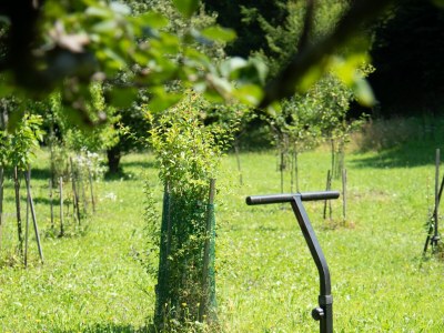 Holiday house Two bedroom house with terrace Hreljin Ogulinski, Gorski kotar K-23162 - Outdoor photo 21