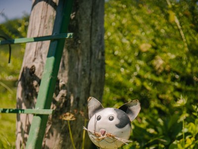 Holiday house Two bedroom house with terrace Hreljin Ogulinski, Gorski kotar K-23162 - Outdoor photo 26