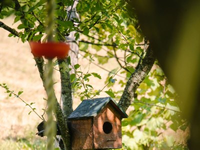 Holiday house Two bedroom house with terrace Hreljin Ogulinski, Gorski kotar K-23162 - Outdoor photo 29